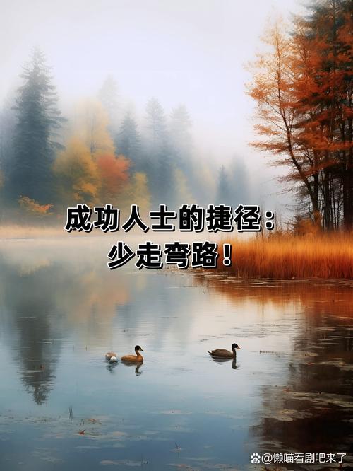选对顾问，才能少走弯路少吃亏
