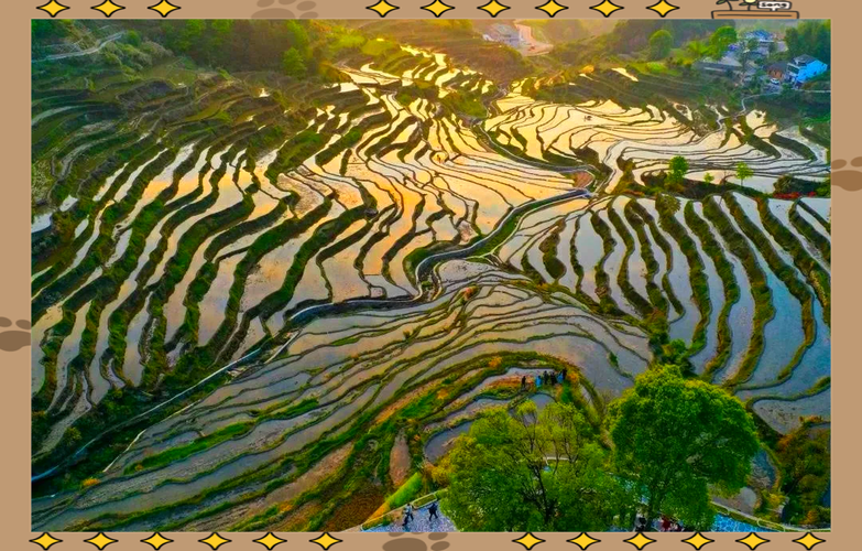 湖北南漳春秋寨春日梯田景观