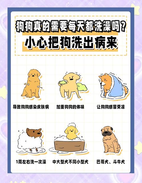 不同品种宠物洗澡频率参考表