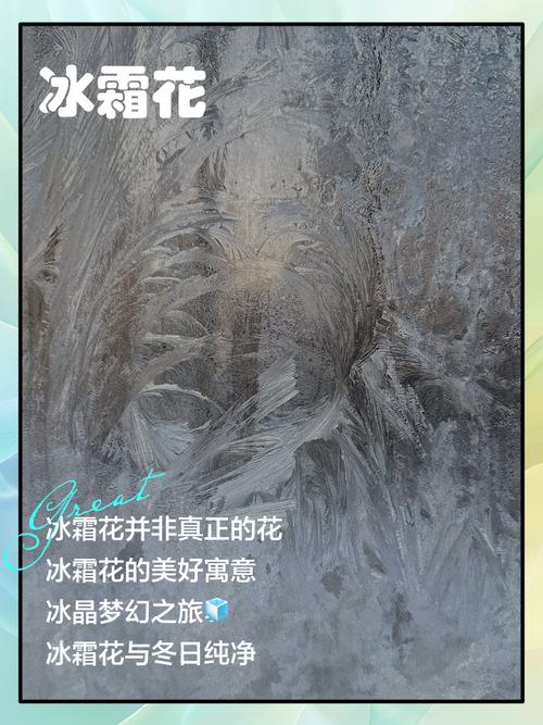 霜花的寿命,短得让人心疼