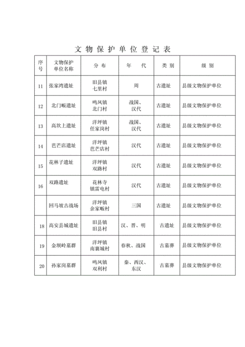 基层文保工作人员现场登记出土文物记录表