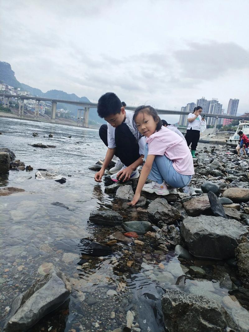 孩子在小溪边捡石头