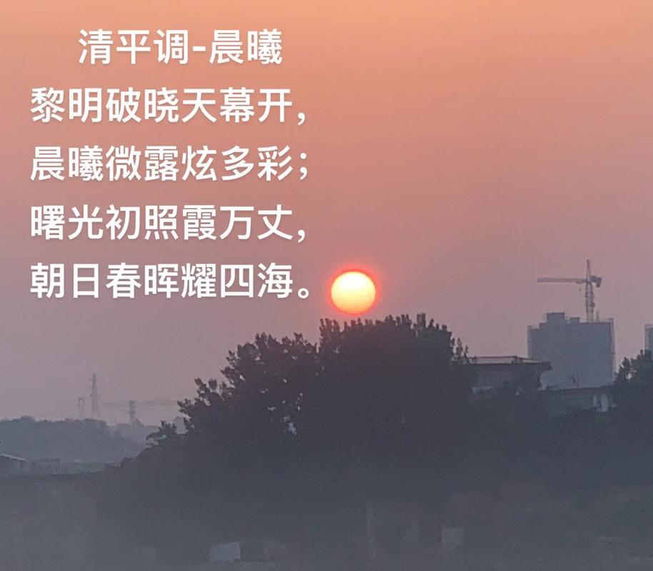 最后,关于晨光的一点私心
