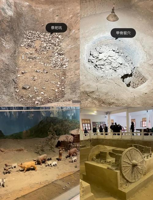 安阳殷墟甲骨保护现场刷粉作业