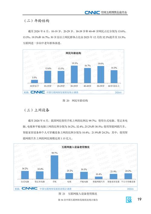 2024中国网民搜索query长度占比统计图