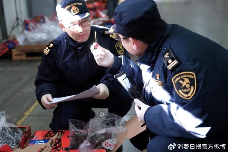 天津港进出口货物报关查验现场实拍