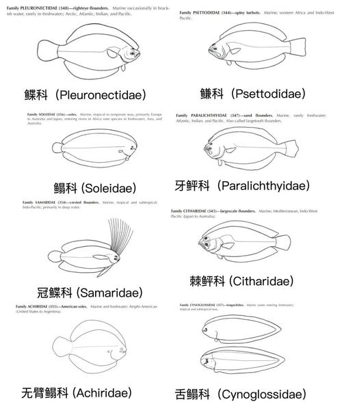 参考来源