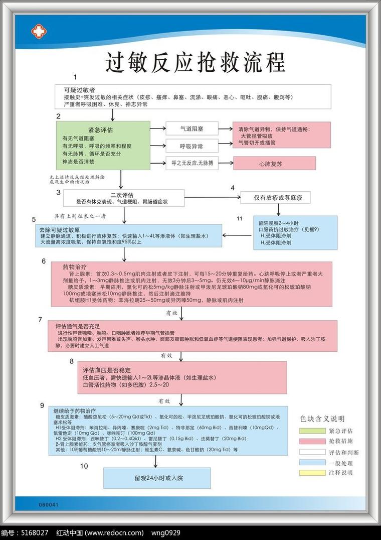 打造家庭过敏应急响应计划的实用步骤