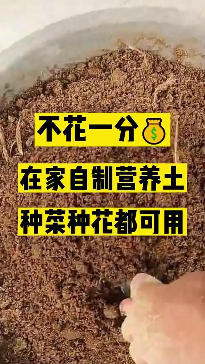 三个今天就能用的土办法