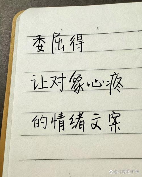 真意外配上了，该怎么办