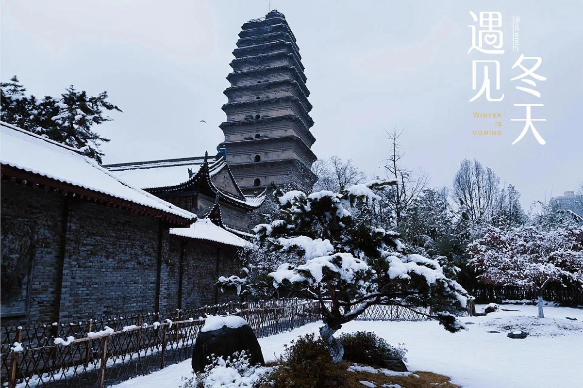 西安博物馆小雁塔雪景