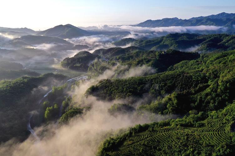 湖北南漳肖堰镇荆山清晨云雾溪谷