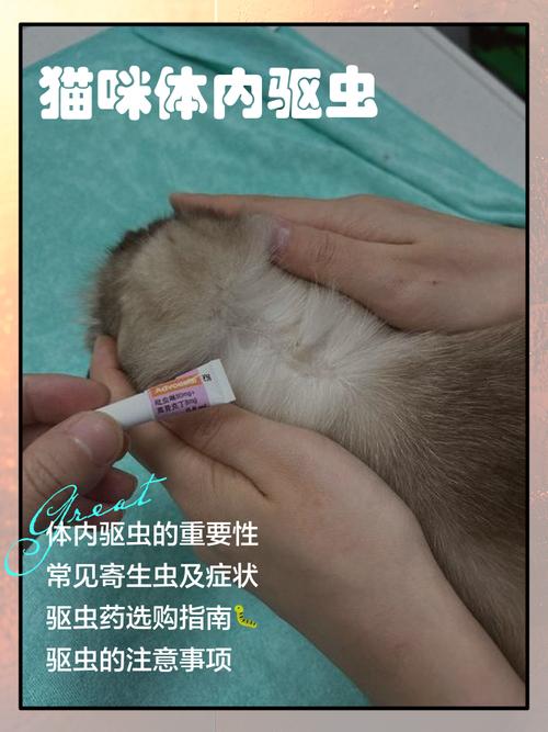 体内驱虫别乱试果皮自行处理