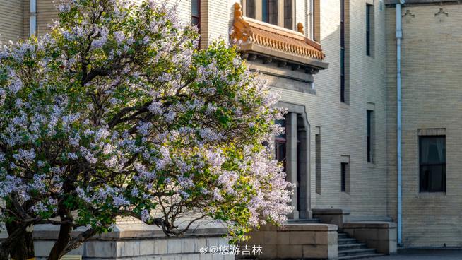 伪满皇宫博物院春日跑马场花海