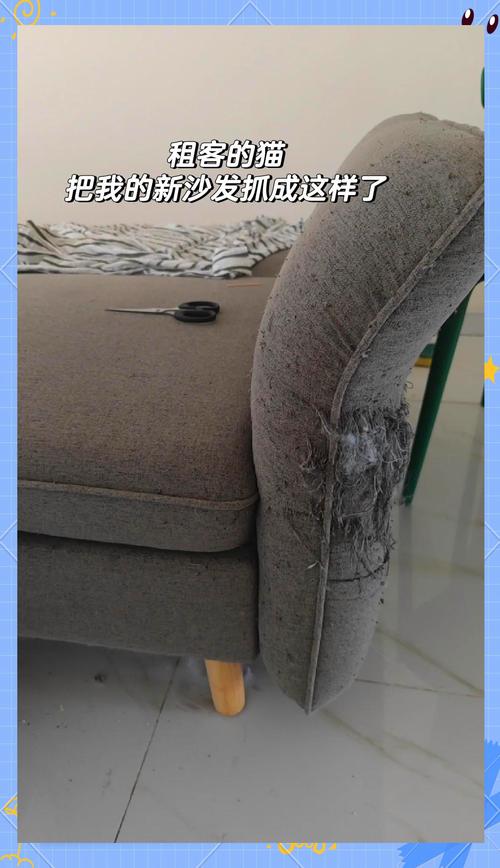被猫抓坏的奶油风羊羔毛沙发实拍