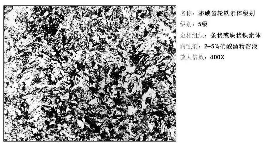 碳氮共渗断齿晶界氮化物网金相图