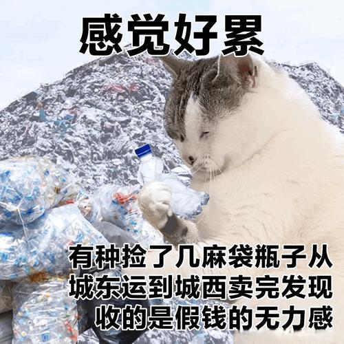 一个人面对满屋杂物的无奈表情