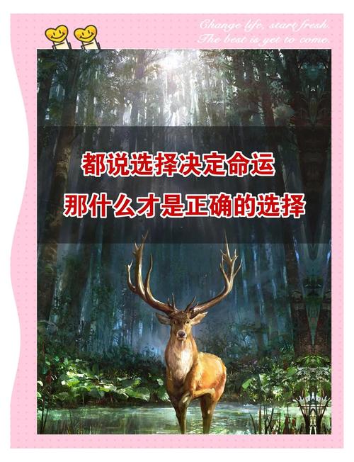 不同情况怎么选？对着挑就行，不用瞎纠结