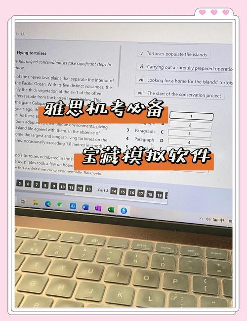 雅思机考阅读界面高亮标记功能示意图