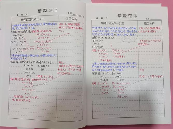 学生用活页本整理数学错题特写