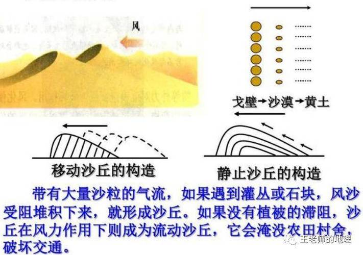 荒漠，不是你想像的那种死亡之境-因为所以