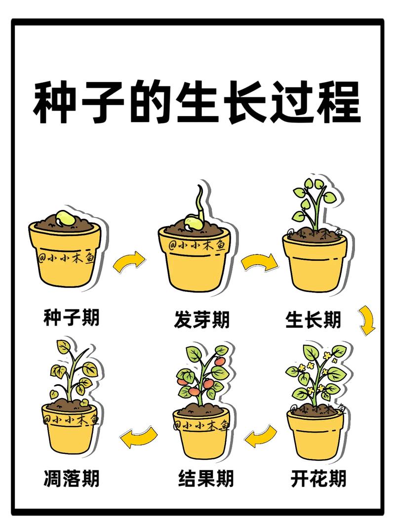生长期和休眠期，完全是两个世界