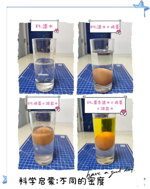 儿童居家盐水浮鸡蛋实验实拍