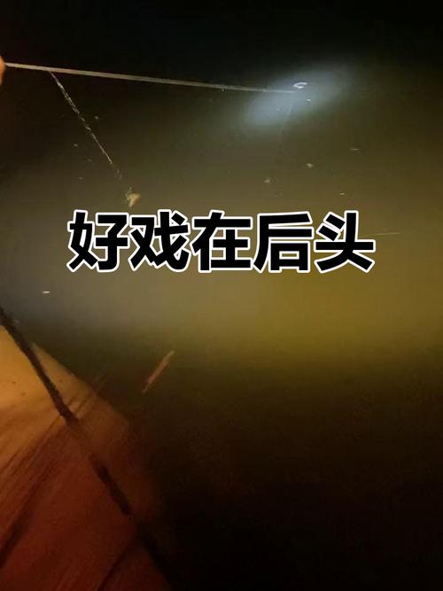 选不上?别急,好戏在后头