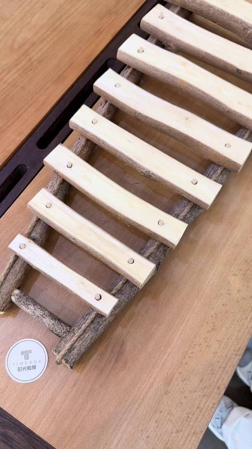 儿童木工制作与音乐课对比画面