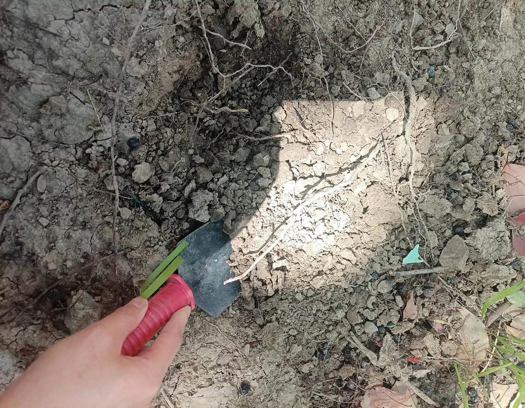老法官攒的几个避坑土办法，记好