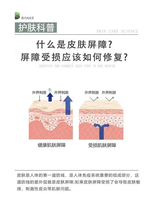 健康受损皮肤屏障对比示意图
