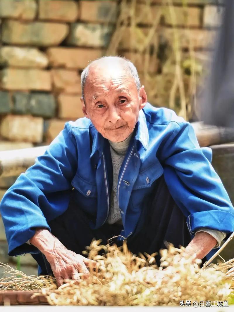 🔑 终极心法：榨干老人的“超能力”