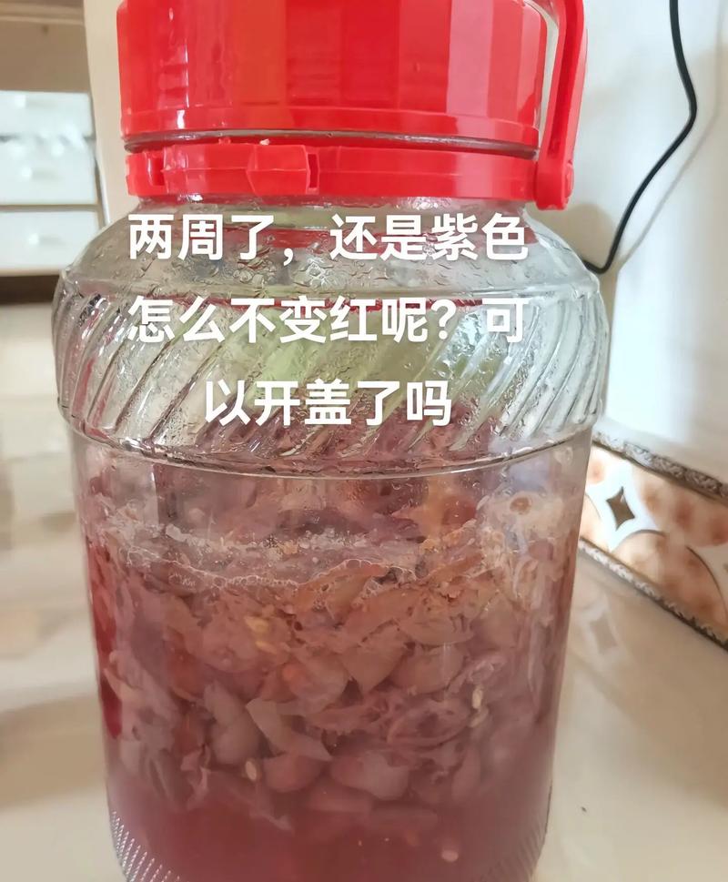 家庭自酿葡萄酒错误示范发酵罐