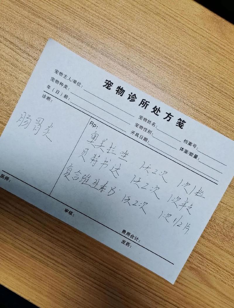 宠物医院诊室桌面摆放的犬猫处方粮样品和手写病历本