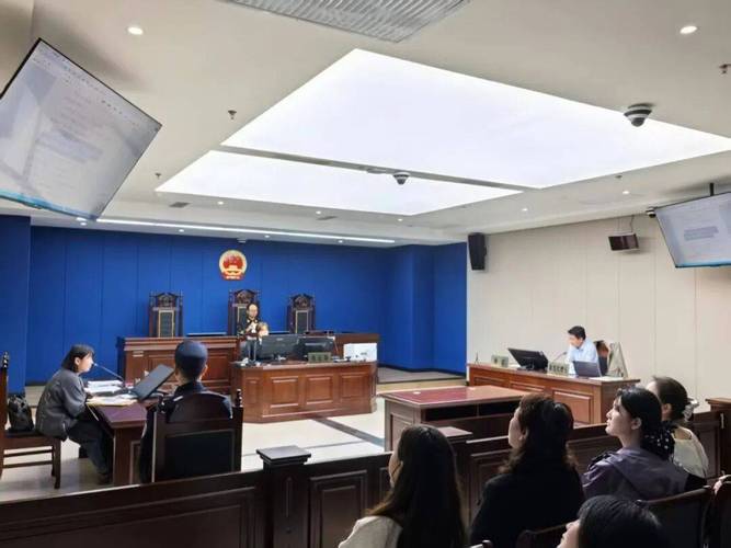 商标抢注纠纷 法律诉讼现场