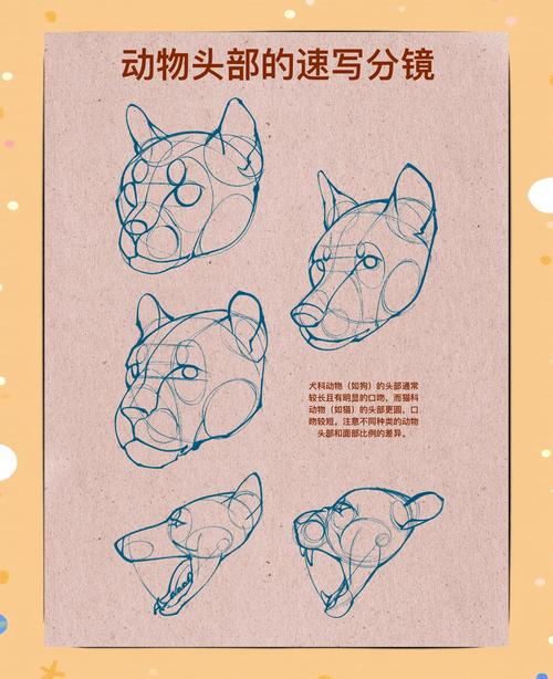 普通人手写的猫狗识别样本标注草稿