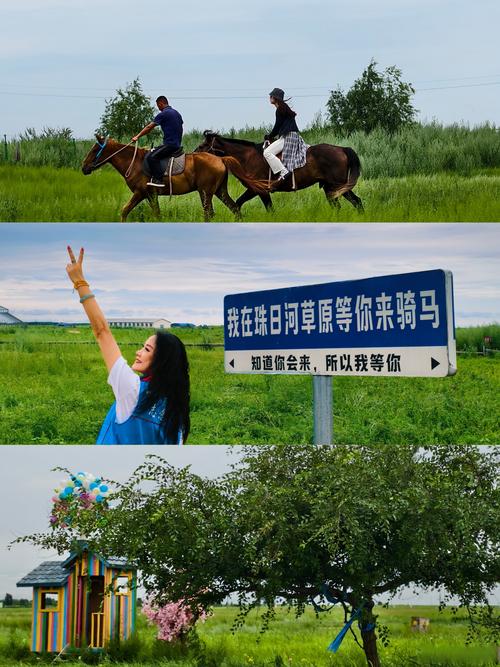 踩进草浪里,才不算白来一趟