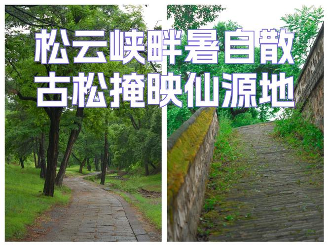 避暑山庄松云峡雨雾老楠木
