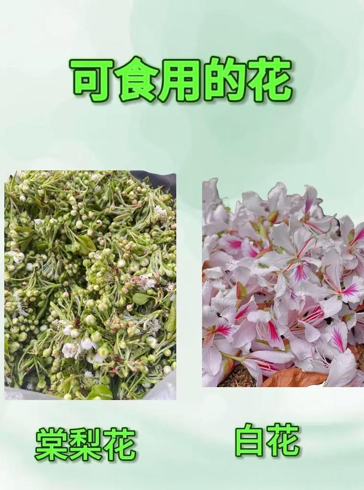 吃和行：能不花就别花