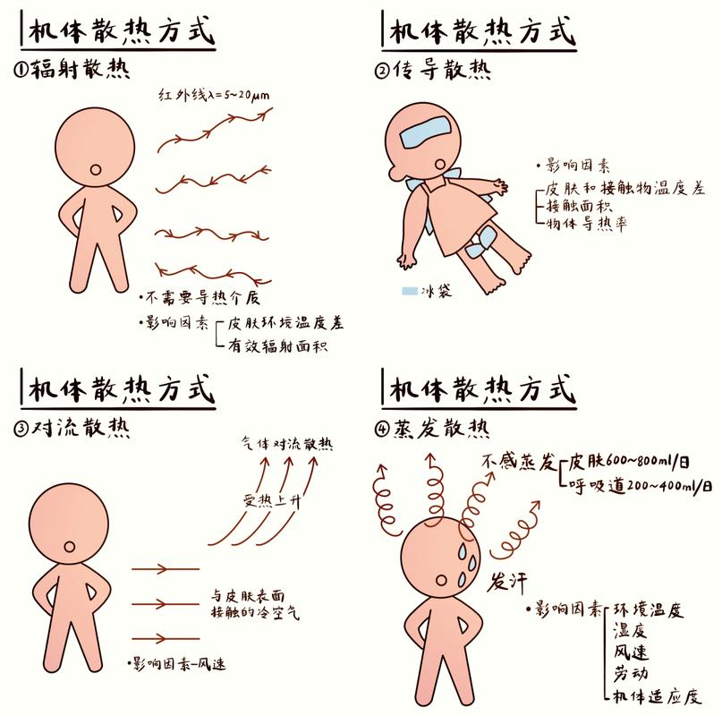 身体需要“主动散热”