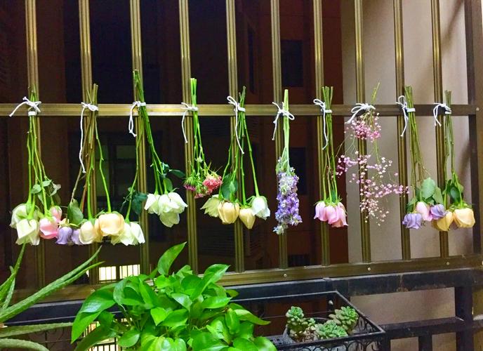 阳台通风处悬挂干花天然香氛实景图