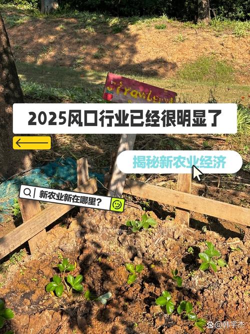 普通从业者没看懂的新风口