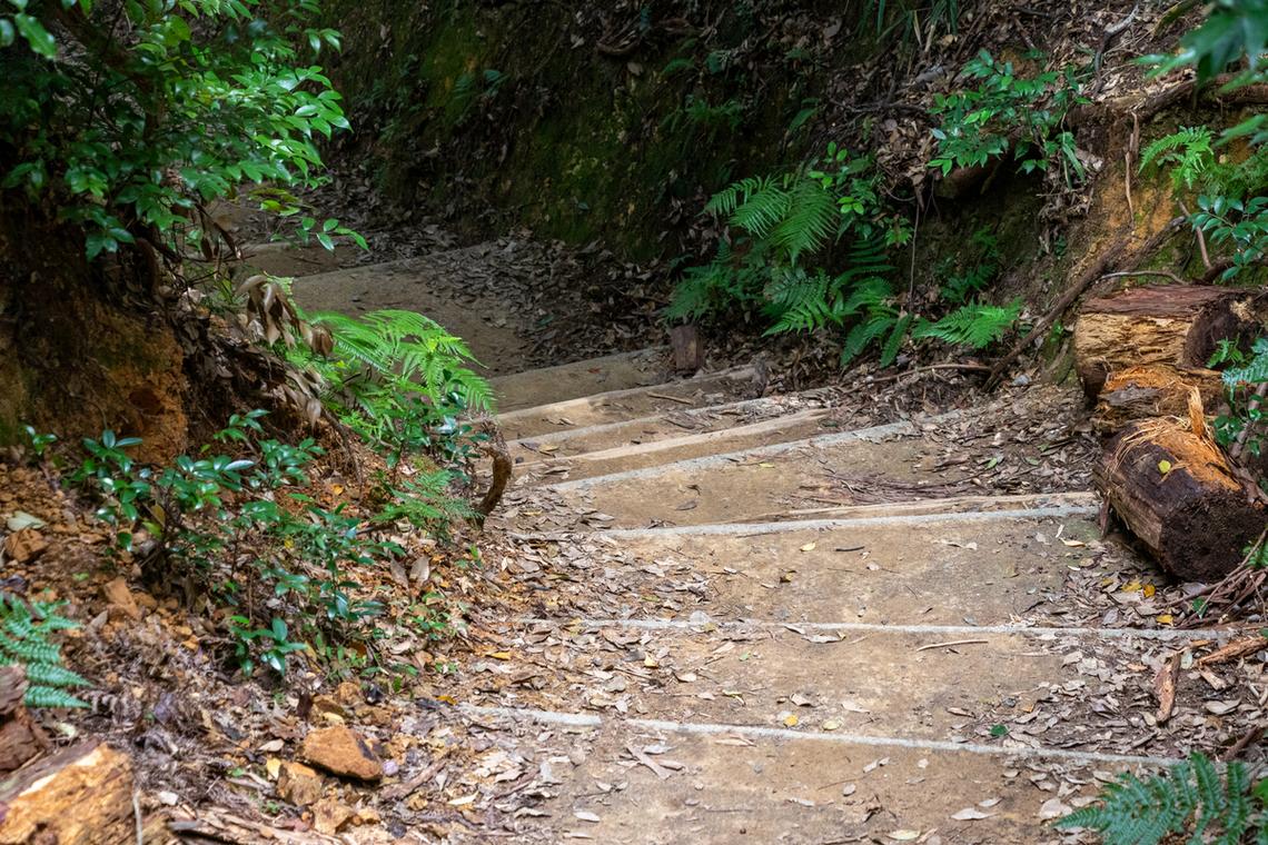 野路子与最后救命稻草