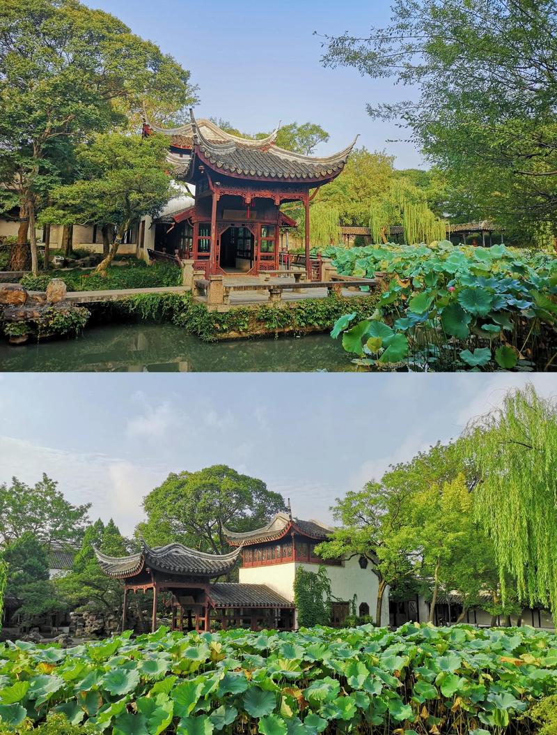 苏州园林拙政园夏季游览视角实景图