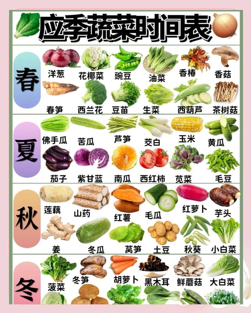应季小菜，什么天气吃什么