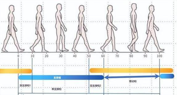 小区日常散步不同状态对应的距离时间曲线手绘对比图