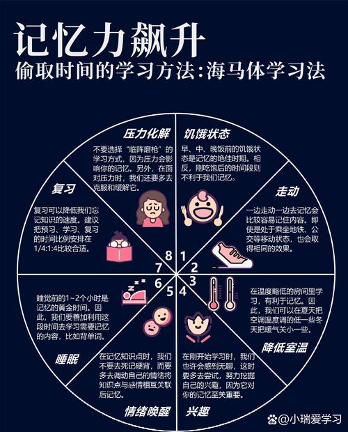 清晨阳光洒在打开的书页上 海马体记忆示意图