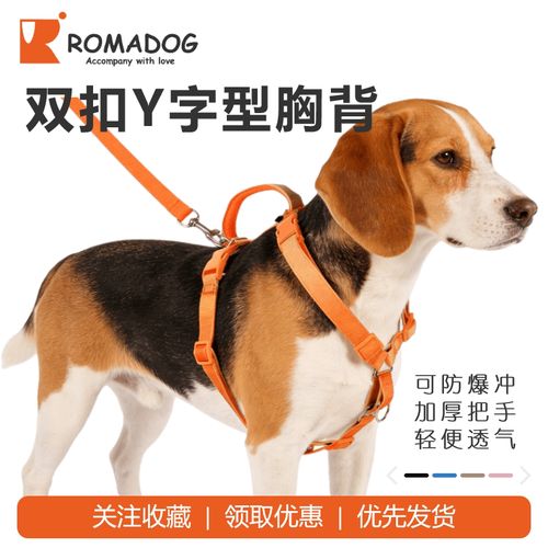 使用前扣式胸背带训练狗狗随行