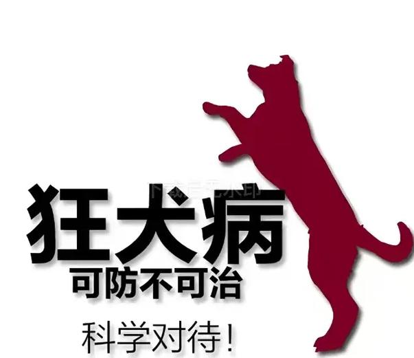 碰到宠物致害，按这三步处理