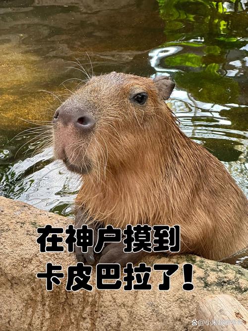在这里，能摸得到看得见的趣味